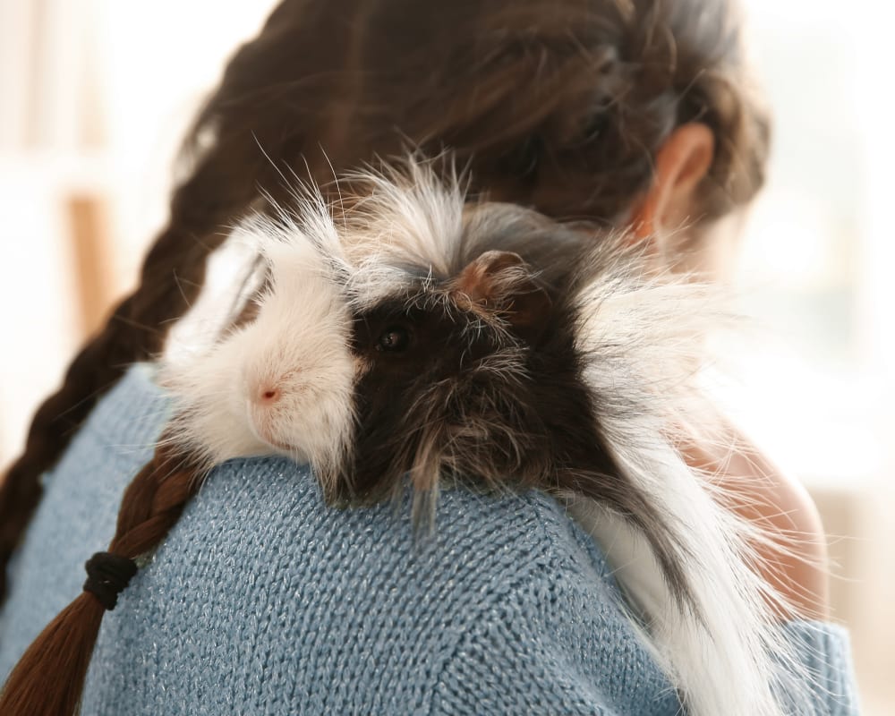 Avian & Exotic Pet Services, Kanata Veterinarians